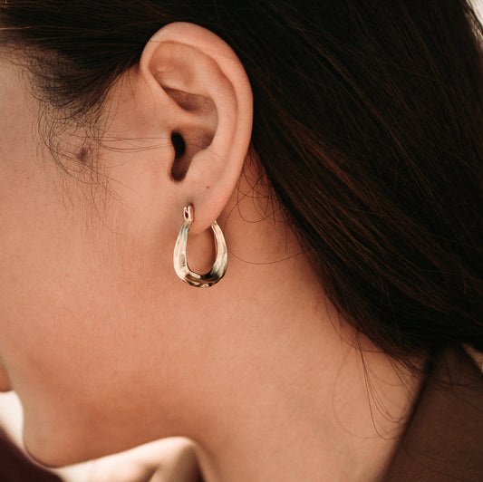 Horseshoe Hoop Earrings