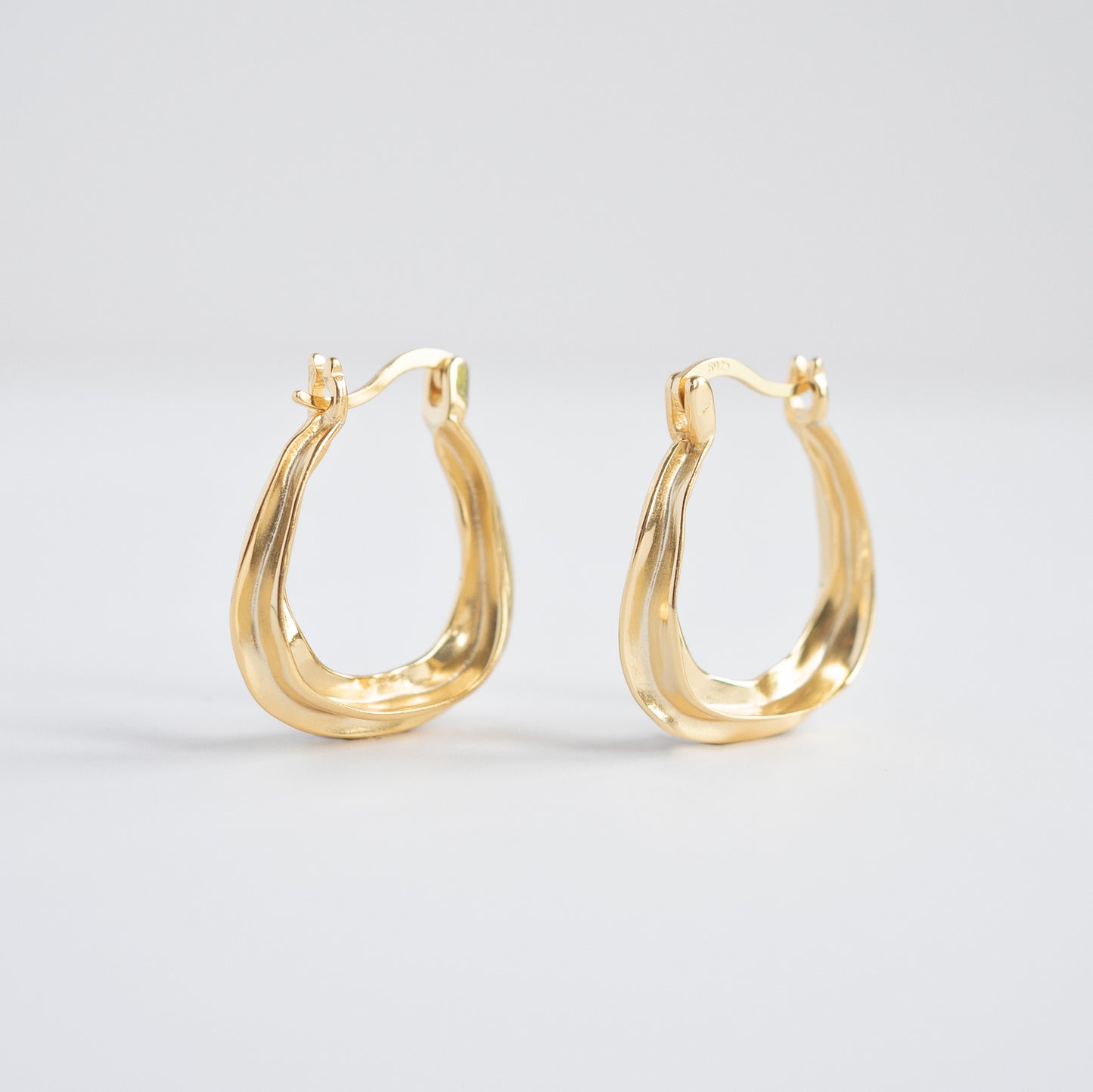 Horseshoe Hoop Earrings