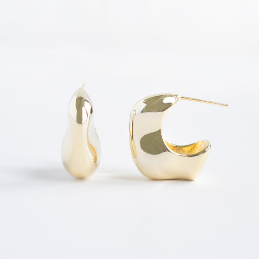 Crescent Moon Earrings